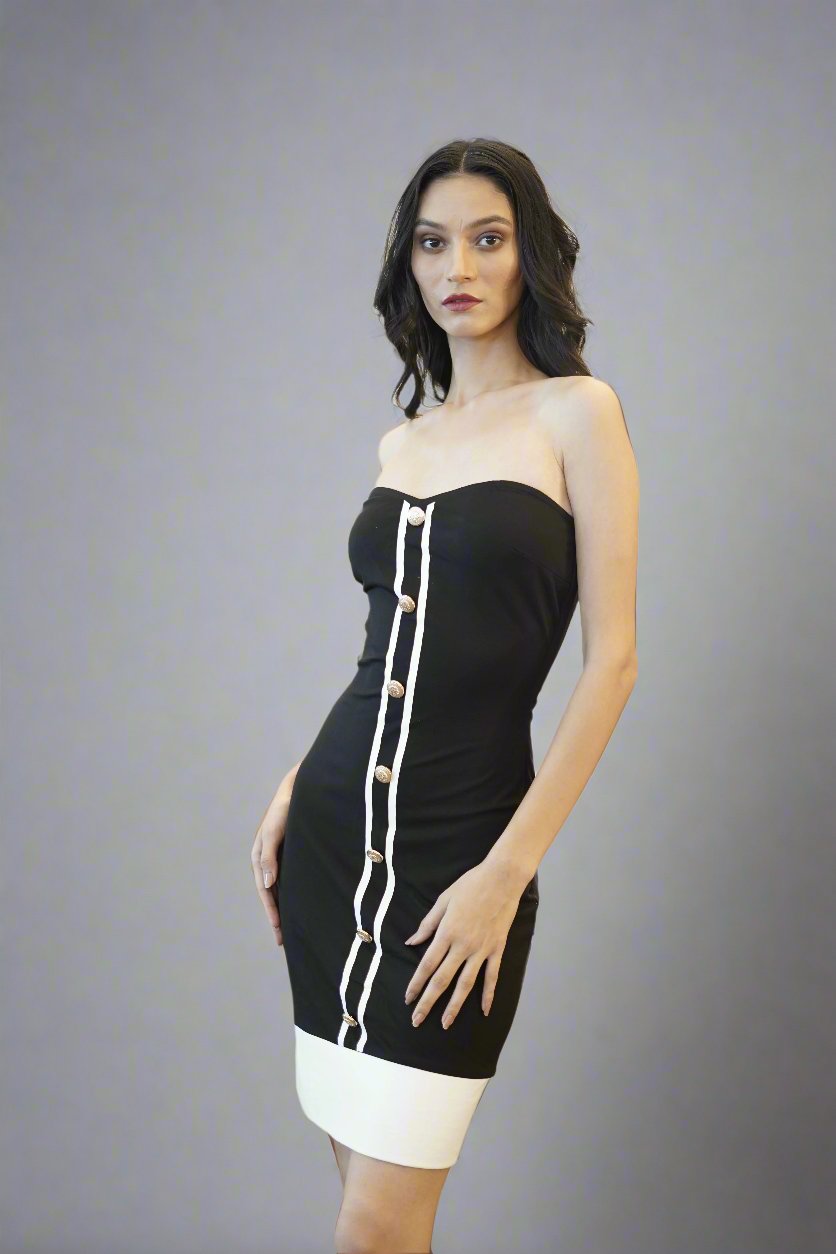 Parisian Muse Dress
