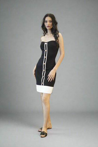 Parisian Muse Dress