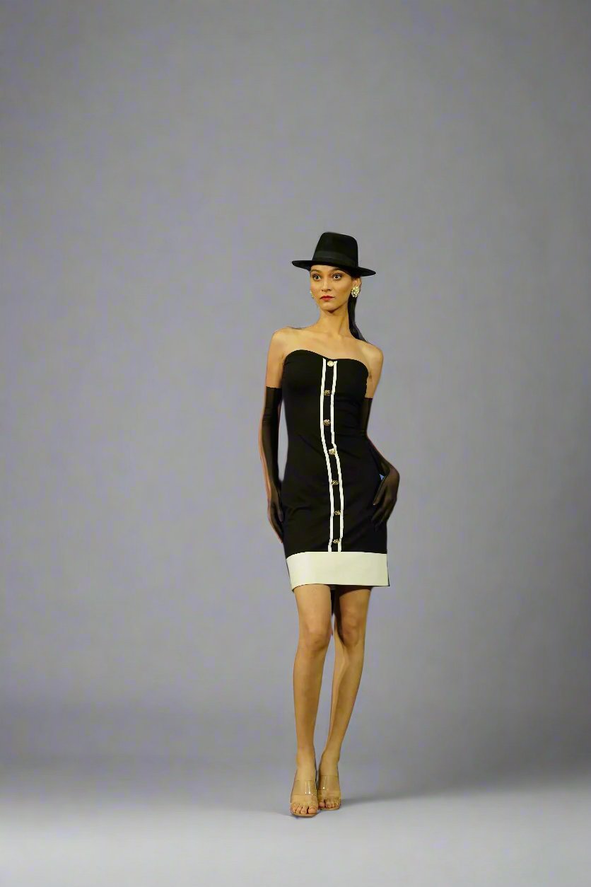 Parisian Muse Dress